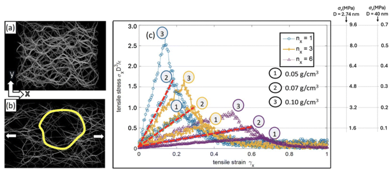Micromechanical modelling of cellulose hydrogel composites based on coarse-grained molecular dynamics